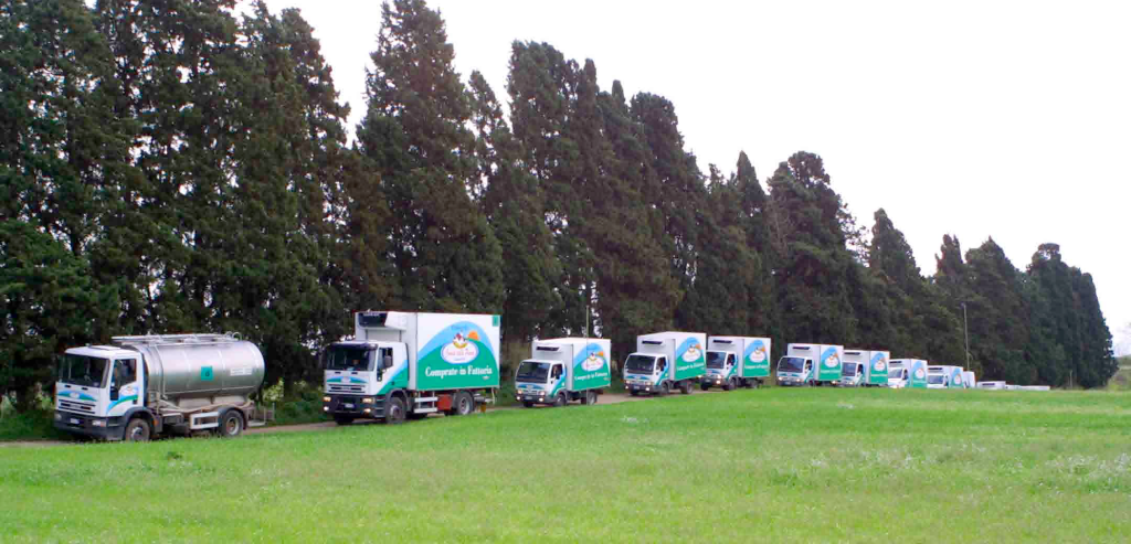 Fattoria della Piana